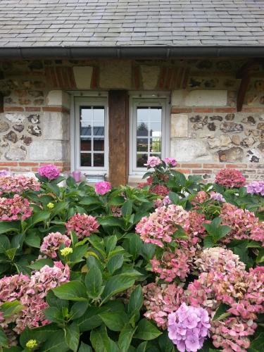 gîte la chartrie : Maisons de vacances proche de Bouquetot