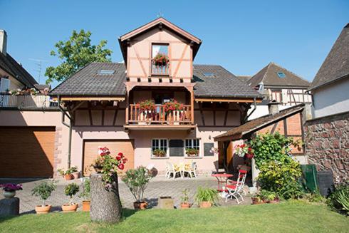 Chez René : Maisons de vacances proche d'Ammerschwihr