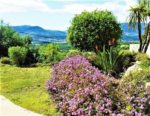 Casa di l'Alivetu : Maisons de vacances proche d'Eccica-Suarella