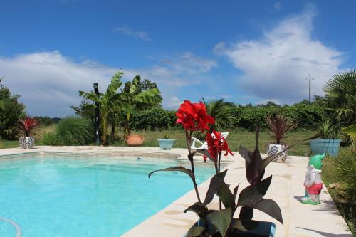 Gîte à la ferme avec piscine : Maisons de vacances proche de Caupenne-d'Armagnac