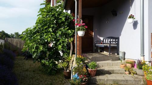 Ferien im Elsass : Appartements proche de Richtolsheim