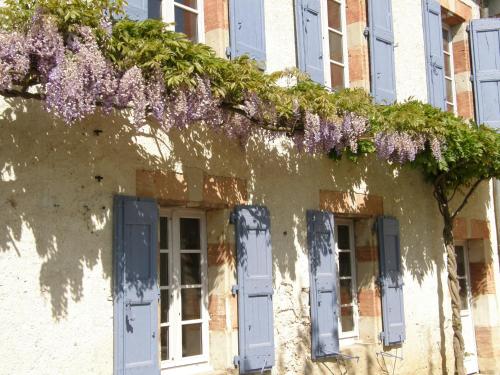 Cottage à la Jinolié : Maisons de vacances proche de Vielmur-sur-Agout