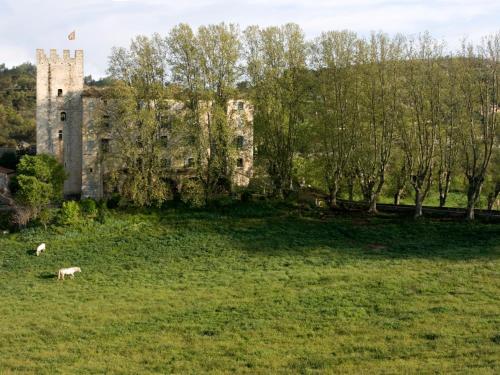Château d'Esparron : Maisons de vacances proche d'Esparron-de-Verdon