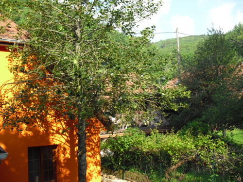 Gite S'Hiesla : Maisons de vacances proche d'Oberbruck