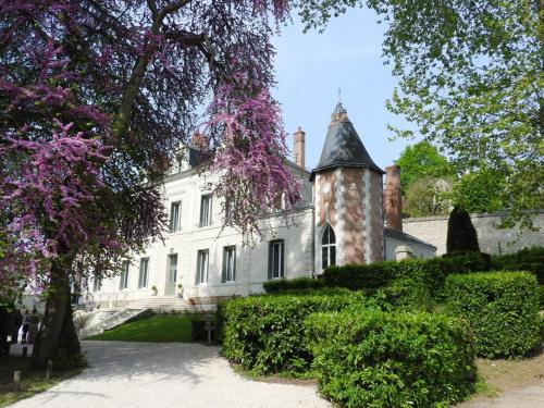 Château des Basses Roches : Maisons d'hotes proche de Saint-Denis-sur-Loire