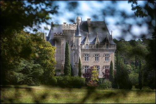 Château de Pitray, près de Saint Emilion : Maisons d'hotes proche de Montcaret