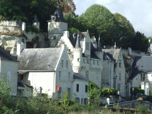 La Sterne de Loire Charming House : Maisons d'hotes proche de Fontevraud-l'Abbaye