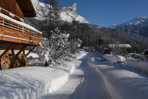 Face Mont-Blanc : Appartements proche de Passy