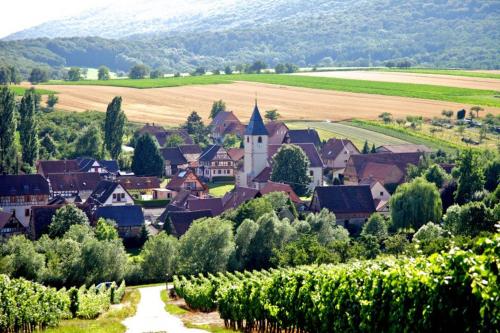Elsasslogie im Winzerdorf : Appartements proche de Climbach