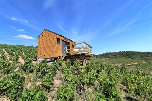 Tiny house au cœur du vignoble beaujolais : Maisons d'hotes proche d'Émeringes