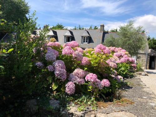 Haus unter bretonischem Horizont : Maisons de vacances proche de Saint-Jean-Trolimon