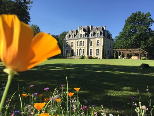 Château des Essards avec piscine et jacuzzi : B&B / Chambres d'hotes proche d'Avrillé-les-Ponceaux