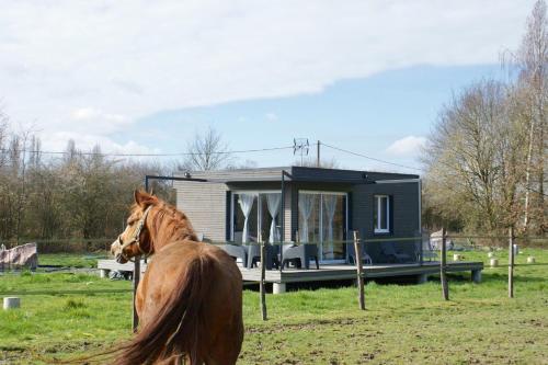 Cottage tout confort au milieu des chevaux : Appartements proche de Ronchères