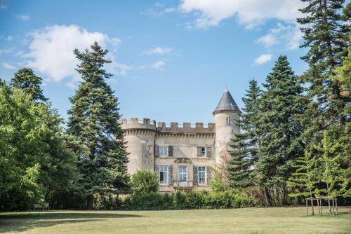 Château Emile Loubet - appartement Maréchal Lyautey : Appartements proche de Cléon-d'Andran