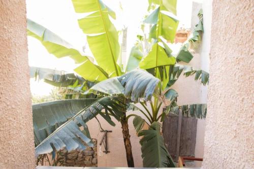 A l'ombre du bananier : Maisons de vacances proche de Neffiès