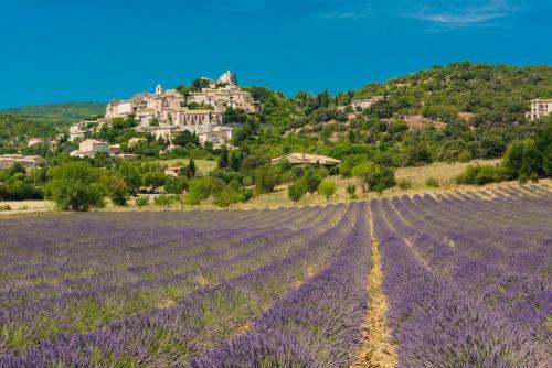 Mas La Miellerie, Maison Authentique Provence : Maisons de vacances proche de Lardiers