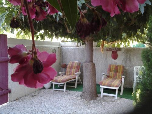 Le patio de Torreilles-Plage : Maisons de vacances proche de Torreilles