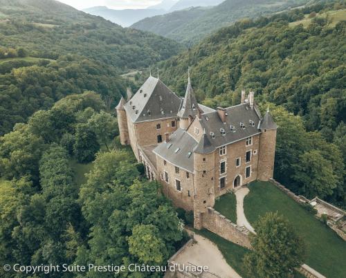 Suite Prestige Château Uriage - Escapade romantique : Appartements proche de Saint-Martin-d'Uriage