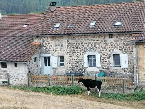 Gite a la ferme : Appartements proche de Prunières