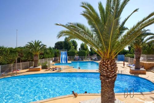 Propriete de 2 chambres avec piscine partagee terrasse amenagee et wifi a Vic la Gardiole a 4 km de la plage : Maisons de vacances proche de Vic-la-Gardiole