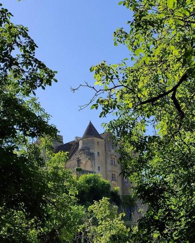 Petite maison en pierre au coeur du Périgord noir proche de Sarlat et Rocamadour : Maisons de vacances proche de Salignac-Eyvigues