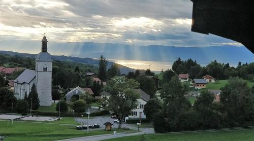 Balcony of lake Geneva : Appartements proche de Thollon-les-Mémises