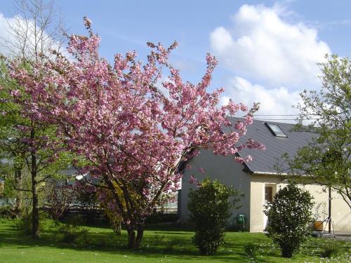 Gîte Paul et Rosalia : Maisons de vacances proche de Saint-Pierre-du-Val