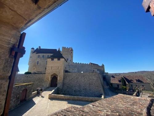 La Croquante face au château : Appartements proche de La Roque-Gageac