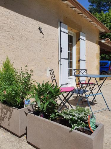 le bois du bournat : B&B / Chambres d'hotes proche de Badefols-sur-Dordogne
