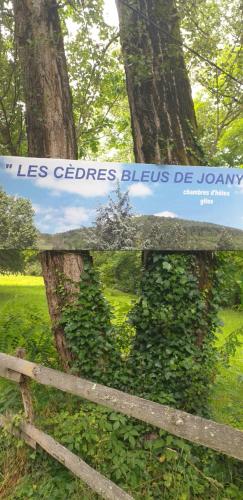 Les Cèdres Bleus de Joany : Maisons d'hotes proche de Firmi
