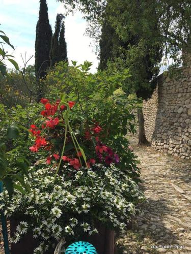 Les Magnolias : Maisons d'hotes proche de Montauban-sur-l'Ouvèze
