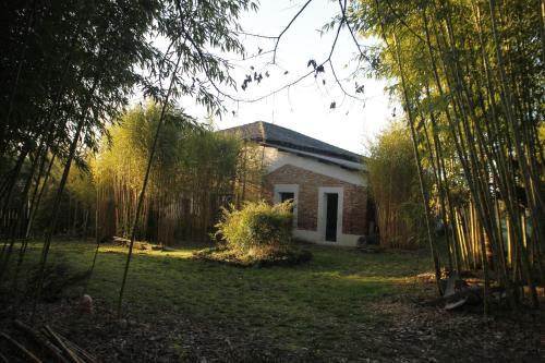 Gîte 12 à 14 personnes au cœur d'une magnifique bambouseraie : Maisons de vacances proche de Castelmayran