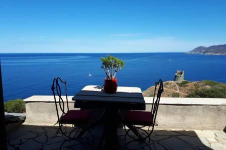 Coin de paradis vue dominante sur mer, montagne et tour génoise avec jacuzzi : Maisons de vacances proche de Pino