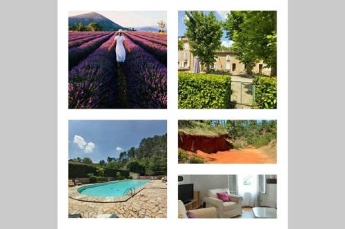 superbe appartement en résidence avec piscine dans le Luberon au pied du colorado provencal : Appartements proche de Caseneuve