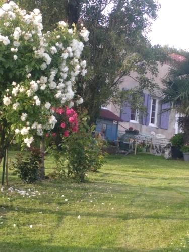 Maison de campagne à la ferme : Maisons de vacances proche de Montignac-le-Coq