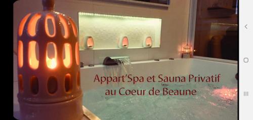 Appart' Spa et Sauna Privatif Au Cœur De Beaune : Appartements proche de Beaune