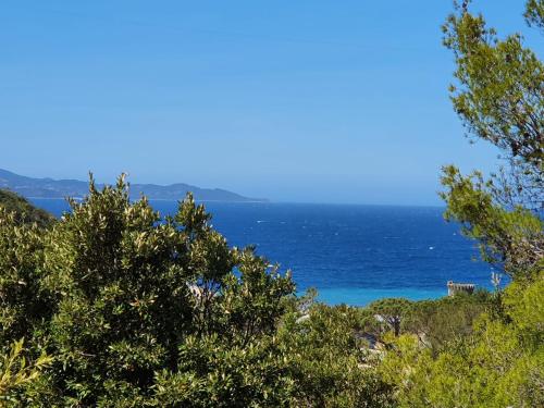 Les Gîtes du Cap Corse : Appartements proche de Nonza