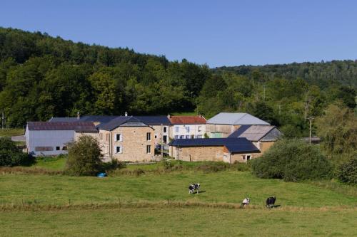 Chez Mémé en Ardenne : Maisons de vacances proche de Le Chesne