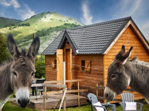 Cab'ânes du Pibeste : Maisons de vacances proche d'Ossen