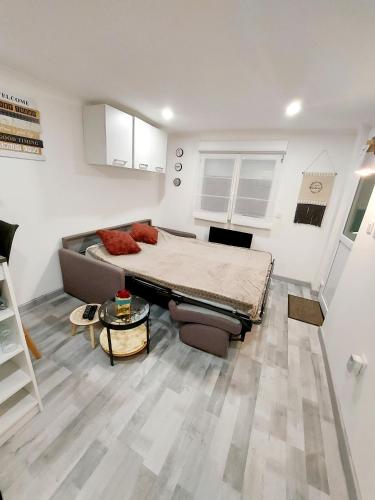 Quiet and cosy studio near Cattenom, Luxembourg and Metz : Appartements proche de Yutz