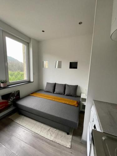 Sympathique petit Studio à la frontière du Luxembourg : Appartements proche de Tressange