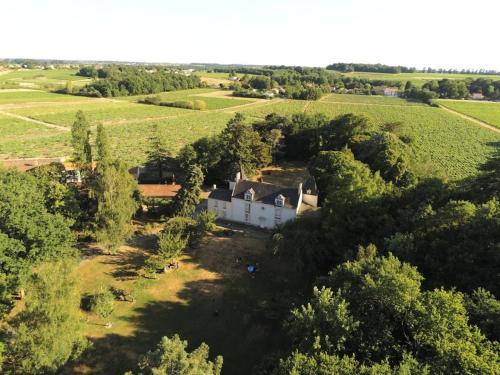 Du Vignoble à l'Atlantique - Château Cassemichère gîte : Maisons d'hotes proche de Haute-Goulaine