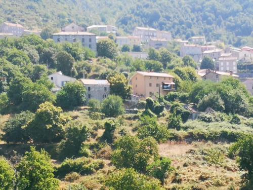 Maison de village avec jardin privatif : Maisons de vacances proche de Corrano
