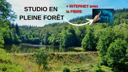 Studio aux Sources de la Chabanne : Appartements proche de Saint-Hilaire-les-Courbes