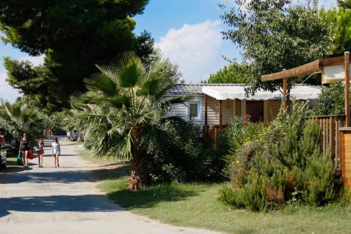 MOBIL-HOME NEUF 2021 3CH 34 M2 : Campings proche de Saint-Cyprien