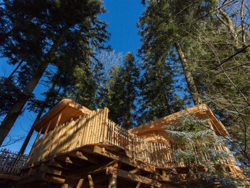Domaine de l'Authentique Cabanes dans les arbres : Maisons de vacances proche de Villers-le-Lac