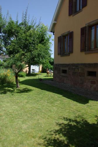 La Maison de Vacances de Colmar et son jardin : Maisons de vacances proche d'Andolsheim
