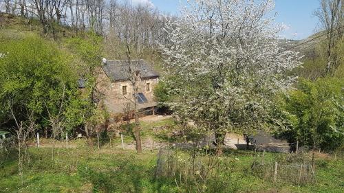 maison isolée dans les vignes et les bois : Maisons de vacances proche de Rignac