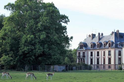 Chateau de Montlieu, residence la cour du chateau VILLA 3 chambres : Villas proche de Saint-Symphorien-le-Château