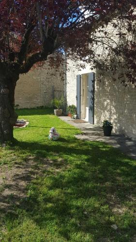Gîte de la venise verte : Appartements proche de Saint-Cyr-du-Doret